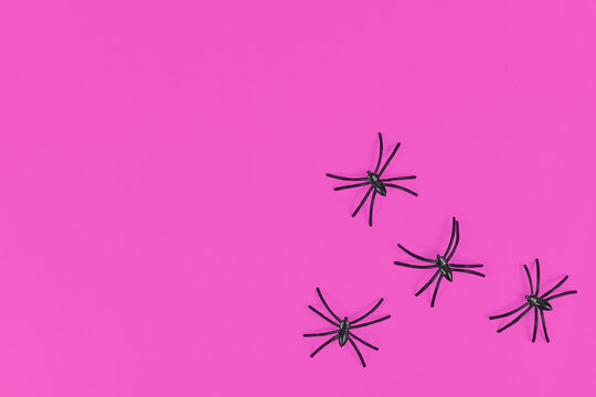 Plastic Spiders In Corner Of Bright Pink Halloween Background With Empty Copy Space