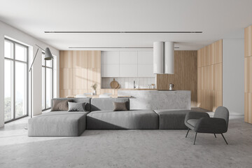 Modern white and wooden living room and kitchen