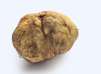 Melanogaster broomeanus is an inedible mushroom look like a truffle