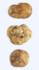 Melanogaster broomeanus is an inedible mushroom look like a truffle