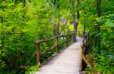 Beautiful forest path trail for nature trekking through lush forest landscape in Plitvice Lakes National Park, UNESCO natural world heritage and famous travel destination of Croatia