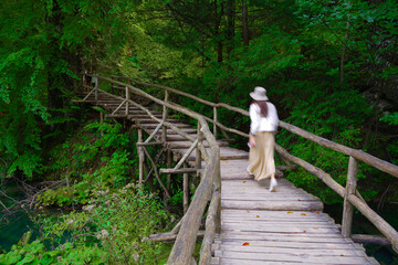 Beautiful forest path trail for nature trekking through lush forest landscape in Plitvice Lakes National Park, UNESCO natural world heritage and famous travel destination of Croatia