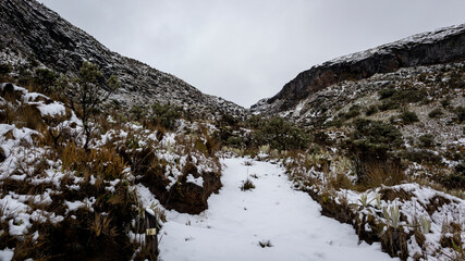 Fototapeta na wymiar Snow covered road in Los Nevados National Natural Park in Colombia.