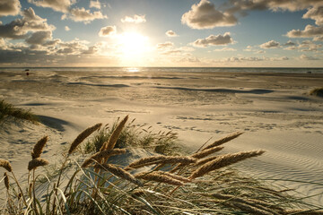 Naklejka na ściany i meble Sunset on the Coast of northern Jutland, Denmark, Europe