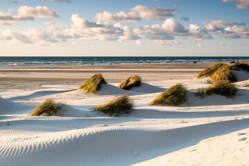 Beautiful coastline in northern Jutland, Denmark, Europe