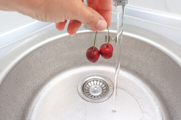 Female hand washing ripe sweet cherry in a kitchen sink under water jet, cleaning fresh fruits of bacteria and dirt