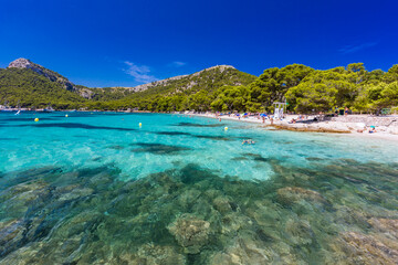 Fototapeta premium Platja de Formentor - beautiful beach at cap formentor, Mallorca, Spain