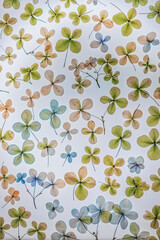 Green and yellow pressed hydrangeas background