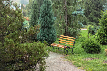 Forged wooden brown bench in botanical garden, a place to relax among green trees in the park