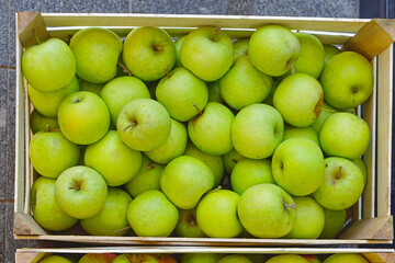 Apples in crate