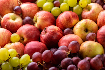 Naklejka na ściany i meble Red apples and grapes. Harvest