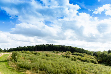 Obraz premium A scenic view of a distant forest the countryside from a country walk