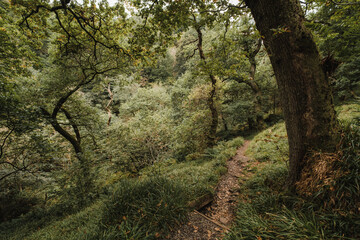 Dollar Glen Scotland