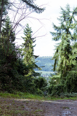 Fototapeta premium Scenic countryside view glimpsed through the trees on a forest walk