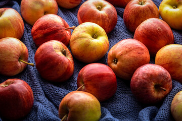 Red apples on a dark blue fabric background