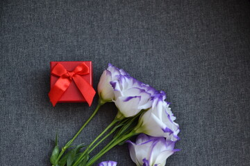 flowers and red box on gray background