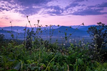 Fototapeta na wymiar Early morning one hour before dawn. Silhouettes of mountains in the morning haze, grass and trees in the foreground. Lagonaki Plateau, Republic of Adygea, Russia