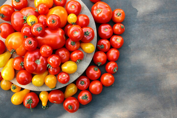 Yellow and red tomatoes, different varieties