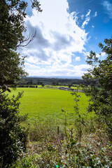 A scenic view of a  countryside field on a sunny day