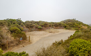 Foggy view at nightfall at battery spencer