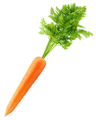 carrot isolated on white background, clipping path, full depth of field