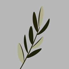 olive leaves illustration florist card