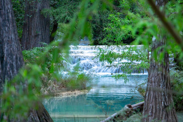 Río en bosque con cascadas, árboles, azul turquesa, hojas verdes, pozas de agua azul, salto de...