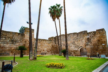 Lawn park with palm trees and old defensive wall