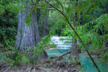 Río en bosque con cascadas, árboles, azul turquesa, hojas verdes, pozas de agua azul, salto de agua.