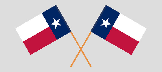 Crossed flags of the State of Texas