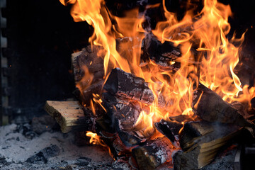 feu de camp pour griller  - été