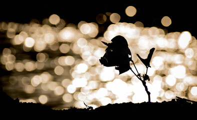 Sinister Plant Silhouette.