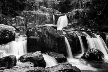 Flowing Stream - Sao Paulo