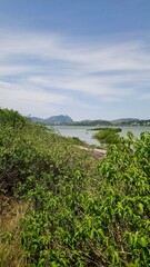 Ilha do pontal - Niter&oacute;i