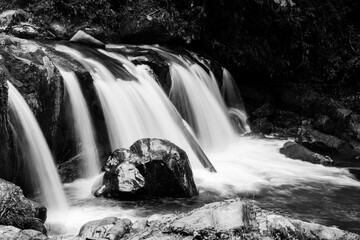 Flowing Stream - Sao Paulo