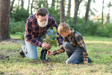Attractive bearded senior grandfather with his lovely grandson on green lawn planting oak seedling and pour with water.