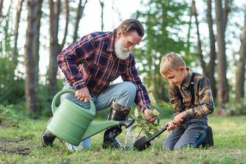 Attractive bearded senior grandfather with his lovely grandson on green lawn planting oak seedling...