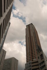 Fototapeta premium 大都会にそびえるビル群と都会の空