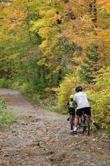 Obraz premium Cyclistes en automne