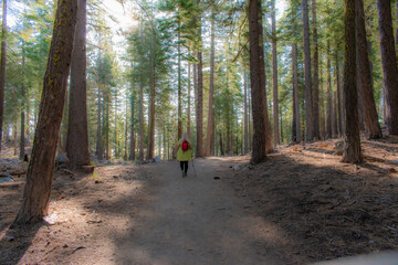 Obraz premium hiking in the mountains wispy walk