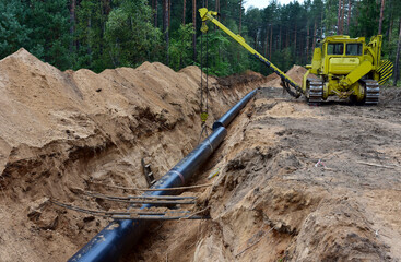 Natural gas pipeline construction work in forest area. Installation of  gas and crude oil pipes....