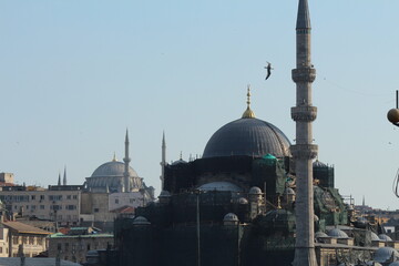 blue mosque