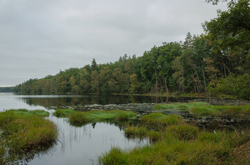 pejzaże jesienne brzegów porośniętych lasami jeziora czarnego © Radek