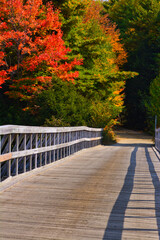 Fototapeta na wymiar Wooden Bridge in Autumn