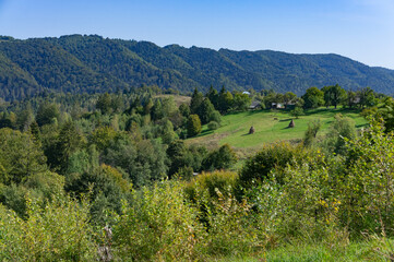 Fototapeta na wymiar View Of The Carpathian Mountains Landscape