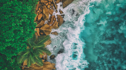 Granite Rocks and beautiful Palms of Seychelles Islands, Indian Ocean