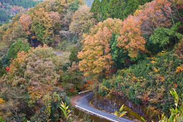 山の紅葉　高千穂峡の山々	