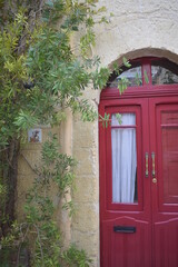 Obraz premium old door
