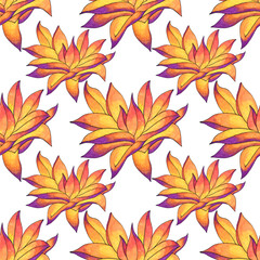 Seamless pattern orange and yellow succulent haworthia home plant on white background. Art creative hand-drawn object for card, sticker, wallpaper, textile or wrapping