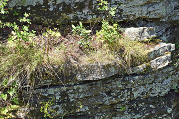 Pea Ridge Battlefield Rock Wall